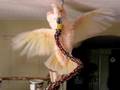 videos de Esher dancing to Moby!