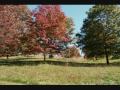 biltmore.wmv