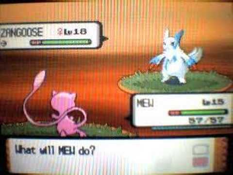 zangoose