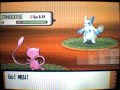 Shiny Zangoose With Poke Radar Shiny Zangoose With Poke Radar