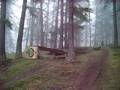 videos de Bebo jumps in Sauze d'Oulx