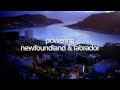 Powering Newfoundland and Labrador