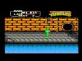 What About Gaming : Teenage Mutant Ninja Turtles 2 The 
