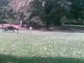 videos de Cupper 11 months old 4