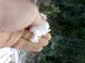 Neve em salvador do campo  09-01-2009