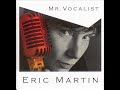 Eric Martin - Time Goes By (Every Little Thing cover)