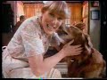 'Gravy Train' Dog Food [01] - TV commercial (1981)