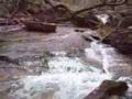 Another secret spot for native brook trout
