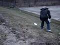 Jewda Goes Sleding....In The Grass