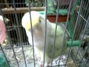 Mirror mirror\ Mirror mirror\