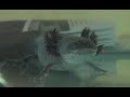 Click here to watch this video Más Verde: Ajolote mexicano