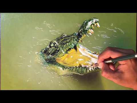 video-linktoworks-DRAWING A CROCODILE IN THE LAGOON