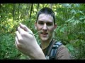 Snake Road Oct 2008