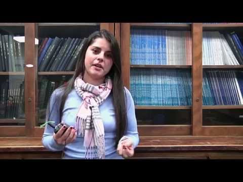 how to treat mastitis