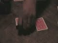 card party