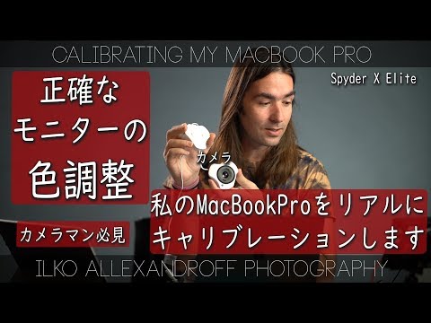 動画