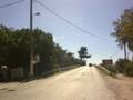 ΕΙΚΟΝΕΣ ΤΟΥ ΔΡΟΜΟΥ PICTURES OF STREET