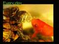 Friendship of Turtle and Goldfish