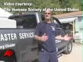 Raw Video: 1,000 Dogs Rescued From W.Va. Kennel