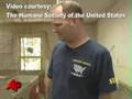 Raw Video: 1,000 Dogs Rescued From W.Va. Kennel