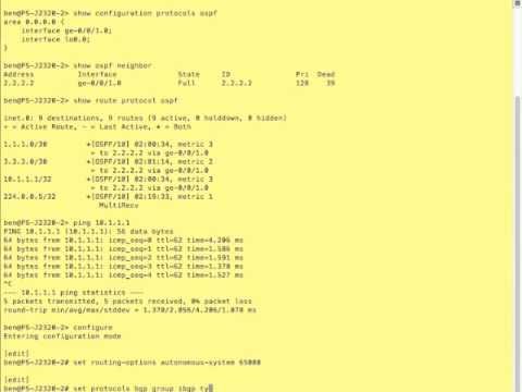 how to troubleshoot bgp in juniper