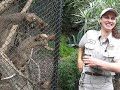 Fossa-3