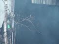 Wystrzalowa Raszowka www.safezone.pl Wystrzalowa Raszowka www.safezone.pl