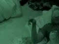 BB7 Marcellas & Erika funny bedtime stories