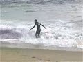 Skimboard!!! Skimboard!!!
