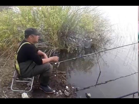 видео ловля щуки в карагандинской области видео ловля щуки в карагандинской области
