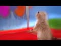 Dramatic Chipmunk - in HD
