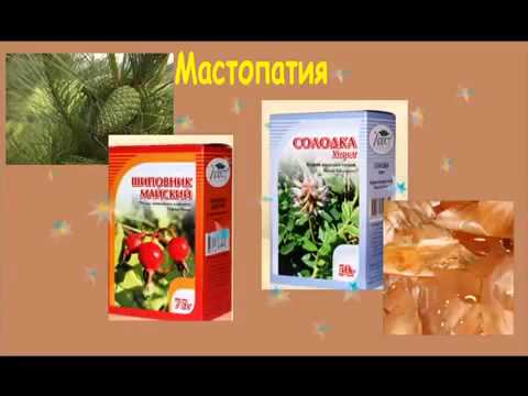 Гляди Как лечить мастопатию народными средствами лучшие рецепты отзывы происходит