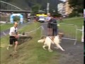 Maxičkovský ACANA CROSS část 1/3