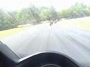 Roebling Road Antics (Part 2)