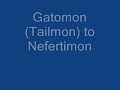 All of Gatomon\