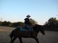 western tinker jack daniels western tinker jack daniels