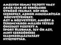 média zűrzavar