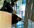 videos de @ school 3