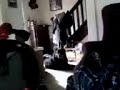 Funny Dog