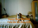 Happy BlogDay 2008