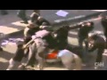 Tahrir Squre Camel Attack