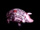 Roger Waters - Morumbi - Sheep - Pig!