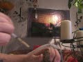 4 wochen alter Nymphensittich Handaufzucht