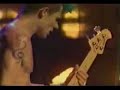 flea bass solo