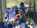 11yr allstar blue team cal ripken 11yr allstar blue team cal ripken