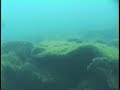 Brads scuba cam, Salvor wreck dive.