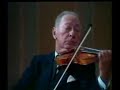 The real violin-O verdadeiro Violino The real violin-O verdadeiro Violino