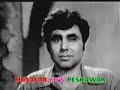 pollywood lollywood bollywood pukhtu pakhtu pushto irani persian iran hindi india afghan afghani hewad watan film actor