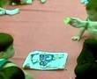 Art & Crafts @ Julia Garbiel English PlayClub