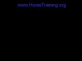 Painting Horse - Horse Training - www.horsetraining.org